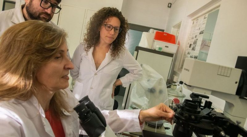 Mendoza: Un equipo de investigación genera vida animal en un laboratorio