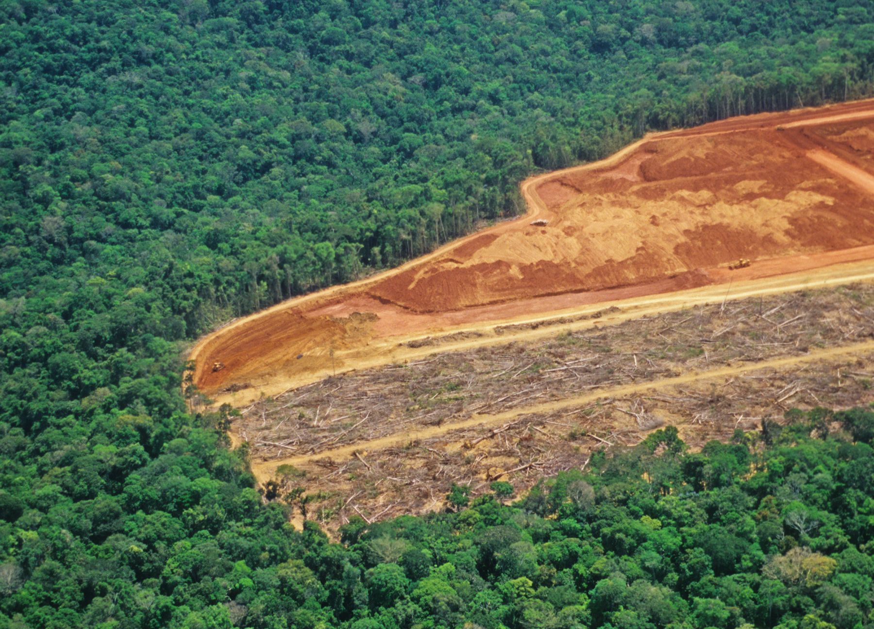 La deforestación en la Amazonia brasileña batió un nuevo récord