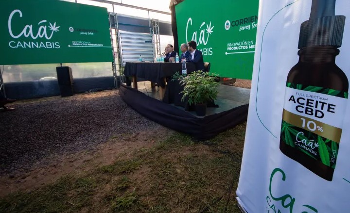 Corrientes tiene todo listo para distribuir su primer aceite de cannabis con fines medicinales.